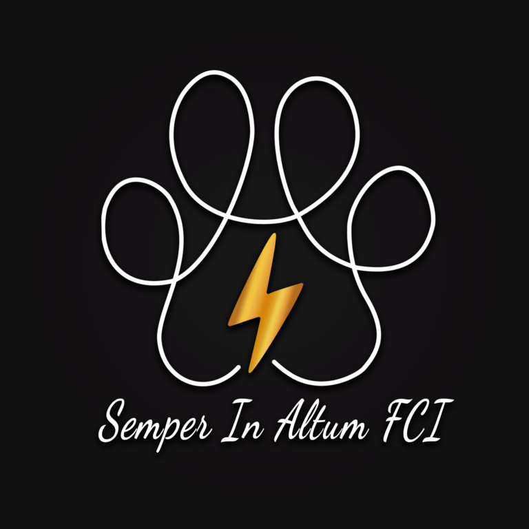 logo_Semper_v6
